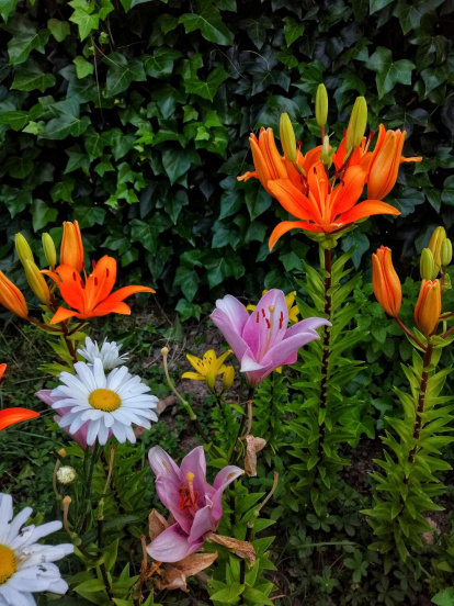 Envia'ns fotos relacionades amb l'estiu i guanya una estada a l'Hotel Estanys Blaus de Tavascan.