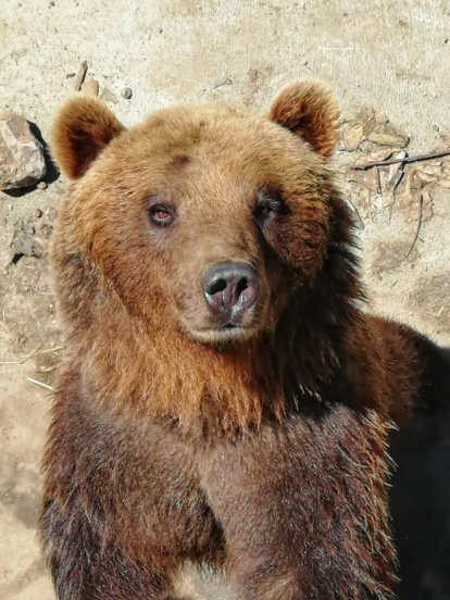 Envia'ns fotos relacionades amb l'estiu i guanya una estada a l'Hotel Estanys Blaus de Tavascan.