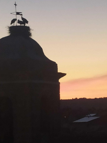 Envia'ns fotos relacionades amb l'estiu i guanya una estada a l'Hotel Estanys Blaus de Tavascan.