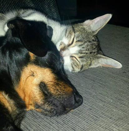 Gerard Bergalló Martí