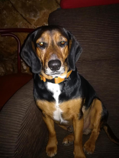 ingrid mayoral serret