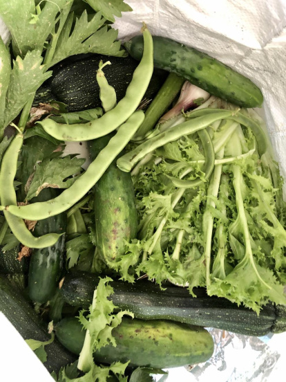 Envia'ns fotos relacionades amb l'estiu i guanya una estada a l'Hotel Estanys Blaus de Tavascan.