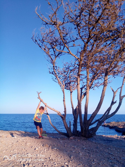 Silvia Judit Quer Capell