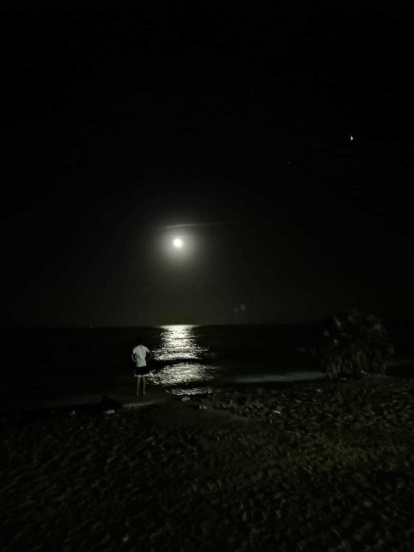 Mireia Jiménez pedrosa