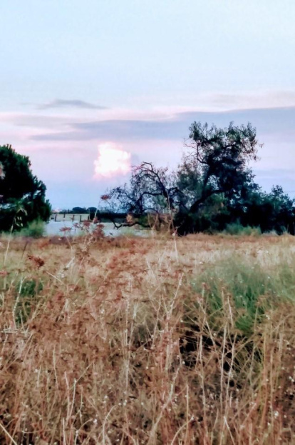 Envia'ns fotos relacionades amb l'estiu i guanya una estada|estança en el Hotel Estanys Blaus de Tavascan.
