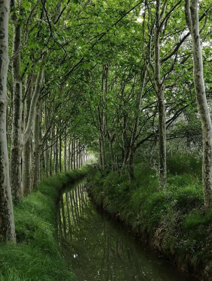 Albert Peruga Capdevila