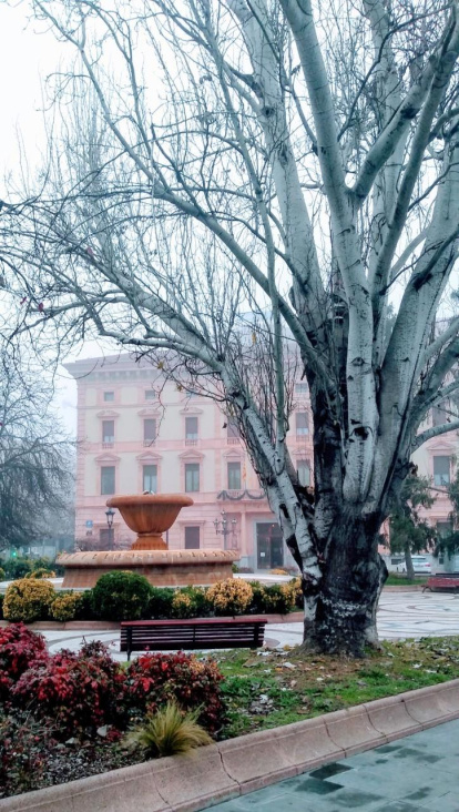 El fred, la boira i la neu... l'hivern ja és aquí!