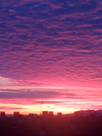 El fred, la boira i la neu... l'hivern ja és aquí!