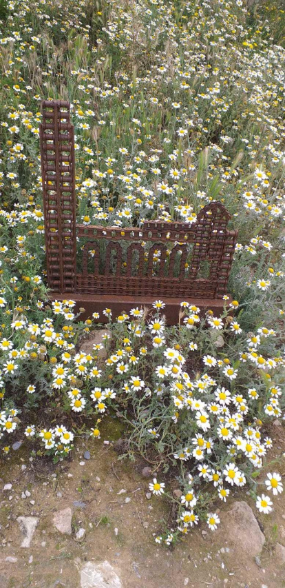 Josep Maria Solé Seró