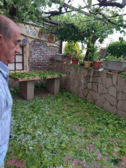 Arbres florits, camps verds i bon temps...ja és aquí la primavera!