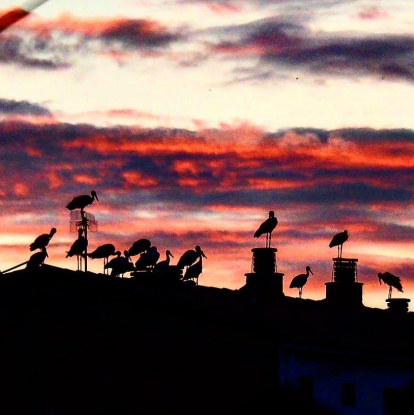 Envia'ns fotos relacionades amb l'estiu i guanya una estada a l'Hotel Estanys Blaus de Tavascan.
