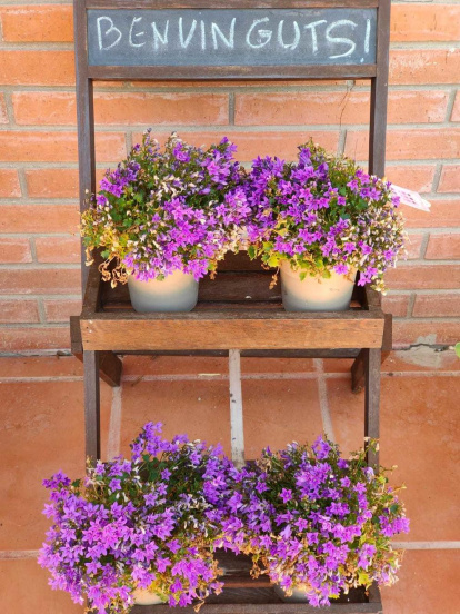 Arbres florits, camps verds i bon temps...ja és aquí la primavera!