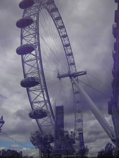 Arbres florits, camps verds i bon temps...ja és aquí a primavera!