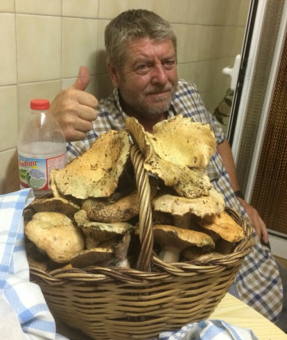 Rovellons, ceps, fredolics,...envia'ns fotos de la teva sortida al bosc.