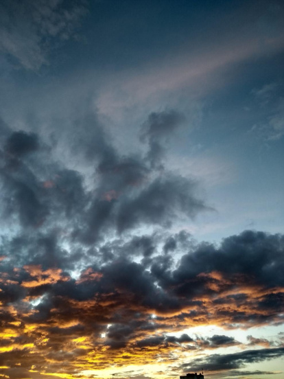 Arbres florits, camps verds i bon temps...ja és aquí a primavera!