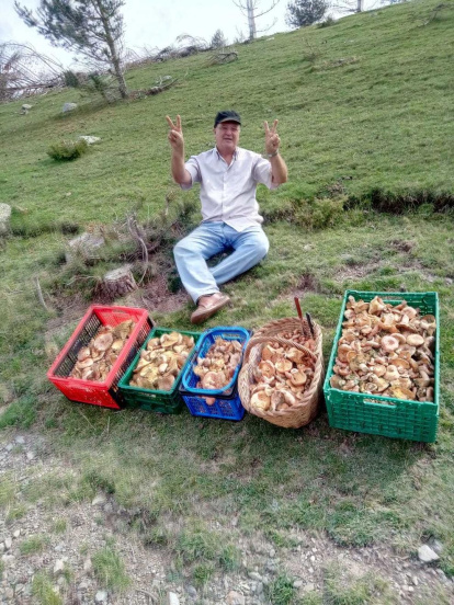 Rovellons, ceps, fredolics,...envia'ns fotos de la teva sortida al bosc.