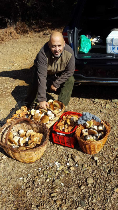 Rovellons, ceps, fredolics,...envia'ns fotos de la teva sortida al bosc.