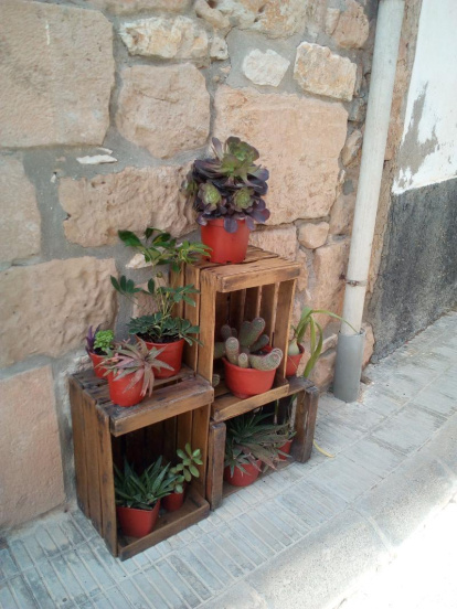Arbres florits, camps verds i bon temps...ja és aquí a primavera!
