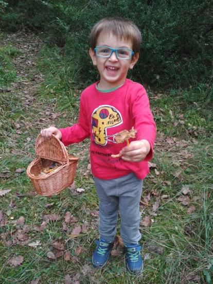 Rovellons, ceps, fredolics,...envia'ns fotos de la teva sortida al bosc.