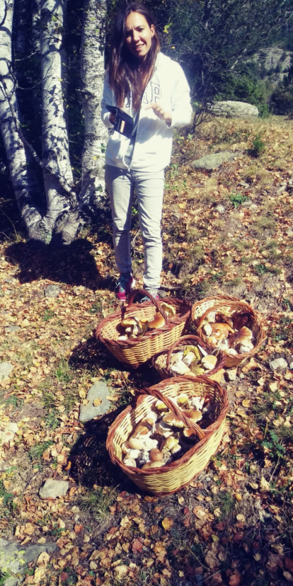 Rovellons, ceps, fredolics,...envia'ns fotos de la teva sortida al bosc.