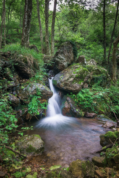 Arbres florits, camps verds i bon temps...ja és aquí a primavera!