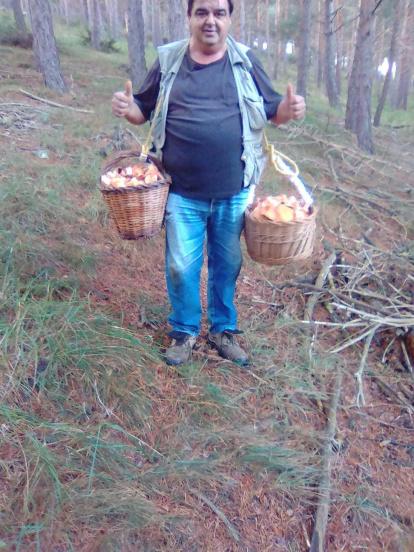 Rovellons, ceps, fredolics,...envia'ns fotos de la teva sortida al bosc.