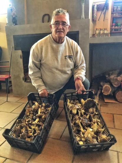 Rovellons, ceps, fredolics,...envia'ns fotos de la teva sortida al bosc.