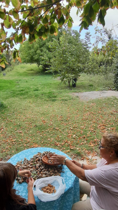 Les fulles cauen, arriba la boira i comença a fer fred.