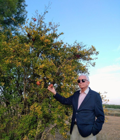 Les fulles cauen, arriba la boira i comença a fer fred.