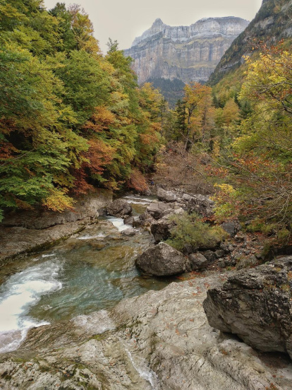 Les fulles cauen, arriba la boira i comença a fer fred.