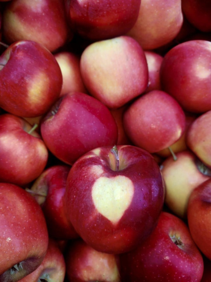 Les fulles cauen, arriba la boira i comença a fer fred.