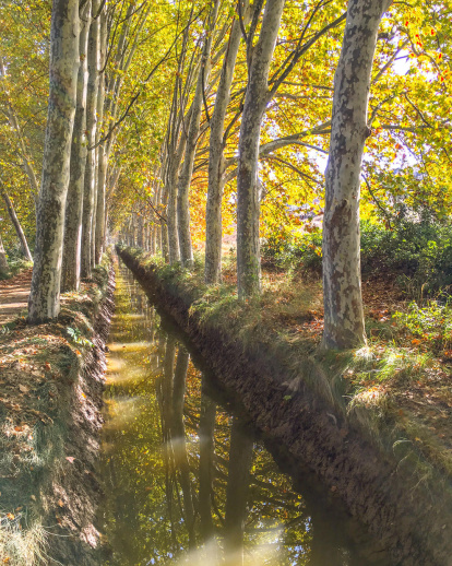 Les fulles cauen, arriba la boira i comença a fer fred.