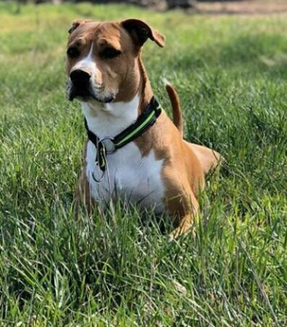 Irene Jiménez curia