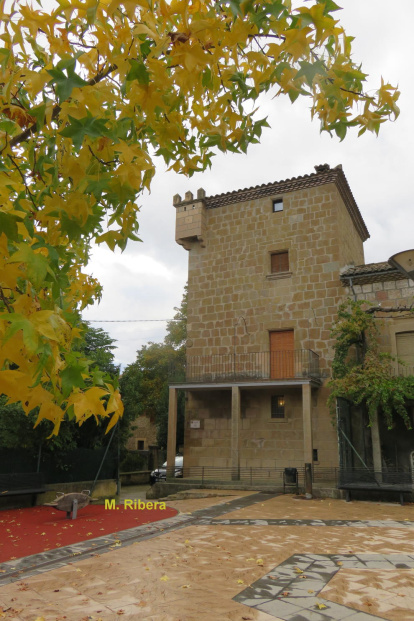 Les fulles cauen, arriba la boira i comença a fer fred.
