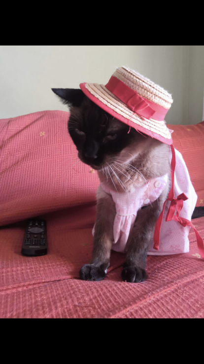 Mª Teresa Dueñas Henares