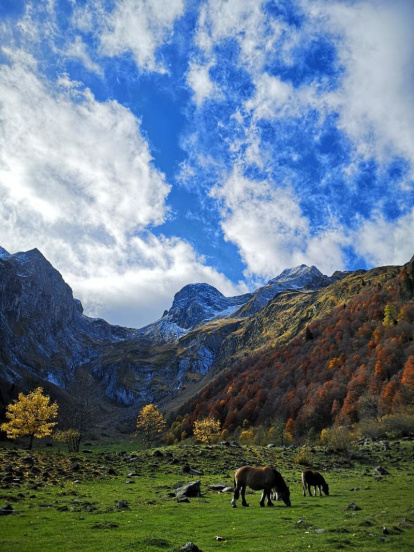 Les fulles cauen, arriba la boira i comença a fer fred.