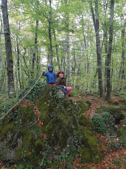 Mireia Viles Arrufat