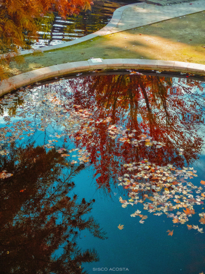 Francisco Acosta Andrés