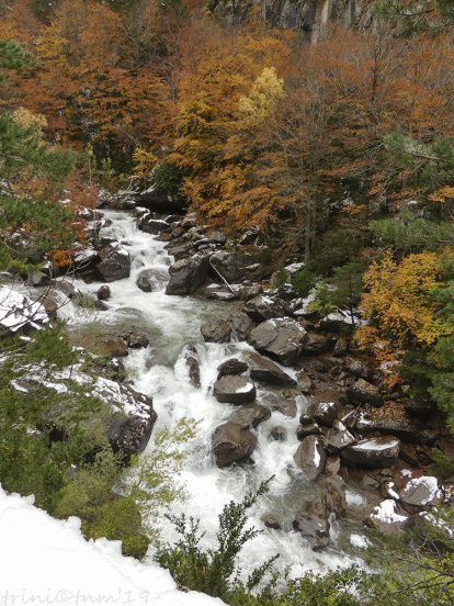 Les fulles cauen, arriba la boira i comença a fer fred.