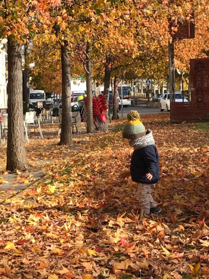 Les fulles cauen, arriba la boira i comença a fer fred.