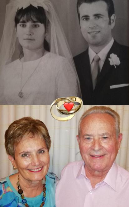 Felicita els teus familiars i amics pel seu aniversari, sant, casament enviant fotos a cercle@segre.com