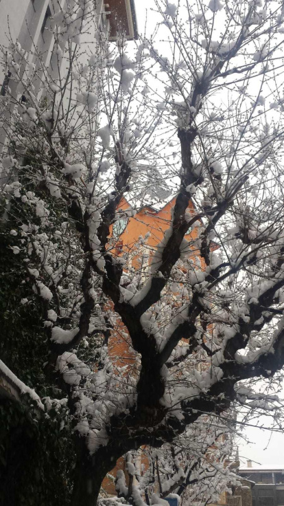 El fred, la boira i la neu... l'hivern ja és aquí!