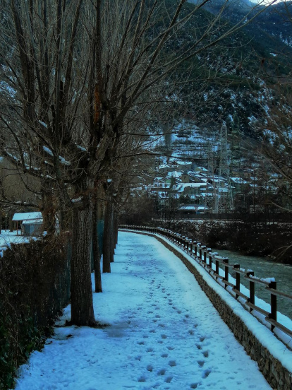El fred, la boira i la neu... l'hivern ja és aquí!
