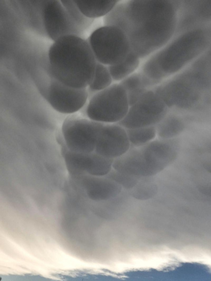 El teu temps, l'estiu 2018