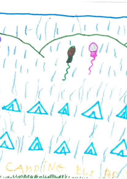 Mireia Viles Arrufat