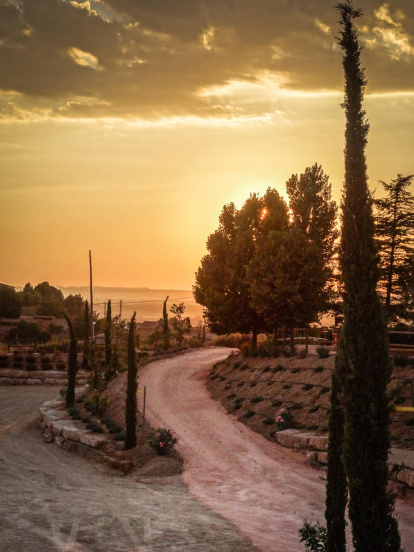 El teu temps, l'estiu 2018