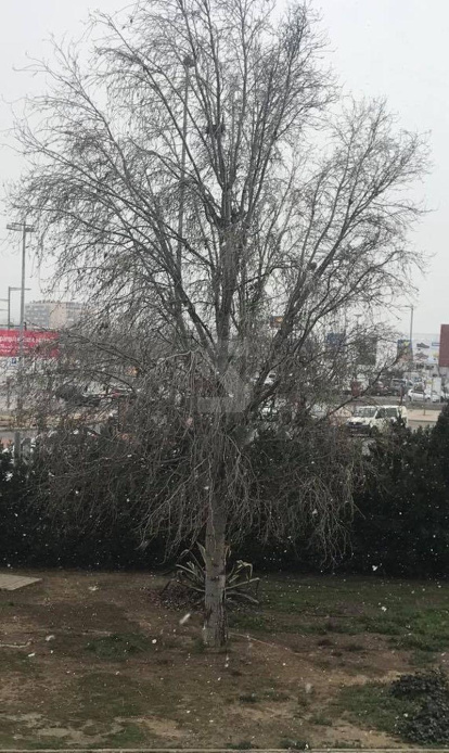 Precipitacions en forma de neu a Ponent des del dimarts al migdia