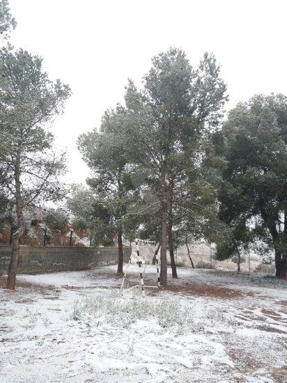 Precipitacions en forma de neu a Ponent des del dimarts al migdia