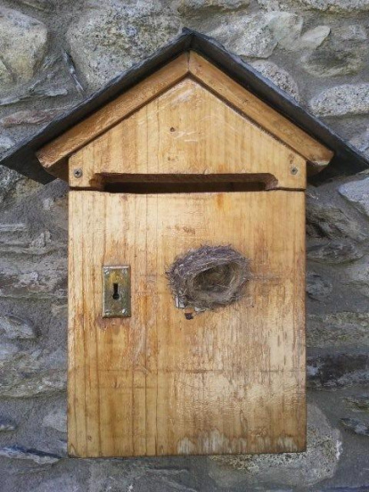 El pom d'una porta, una abella en una flor, una mà,...