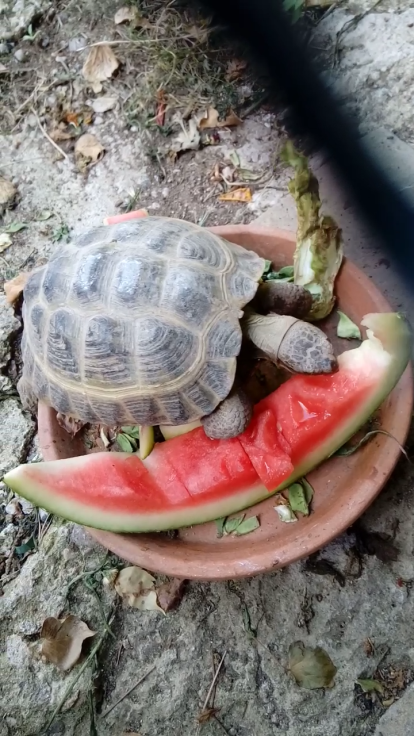 marga martinez solans